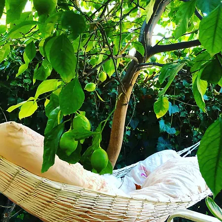 Penelope Privatunterkunft *