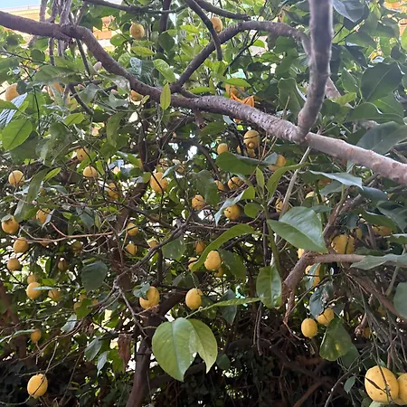 Penelope Privatunterkunft Palermo