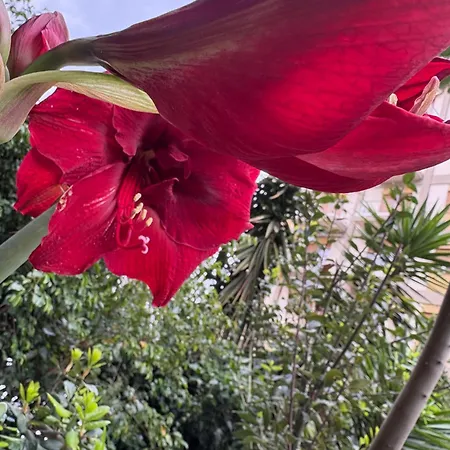 Penelope Privatunterkunft Palermo