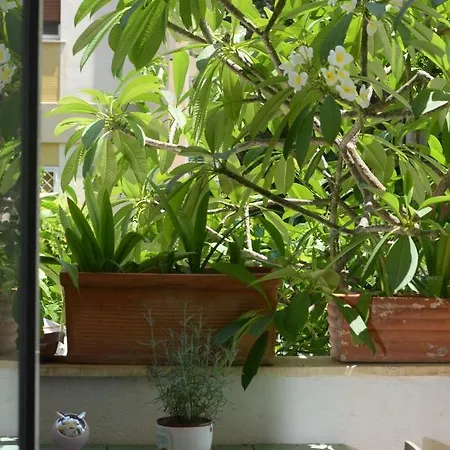 Penelope Privatunterkunft